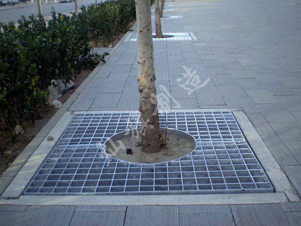 樹(shù)池蓋板圖片3
